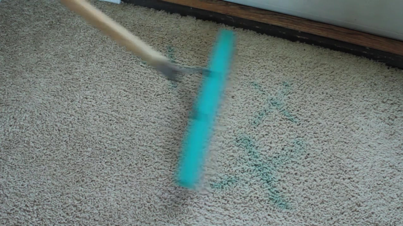 Pet Odor Removal